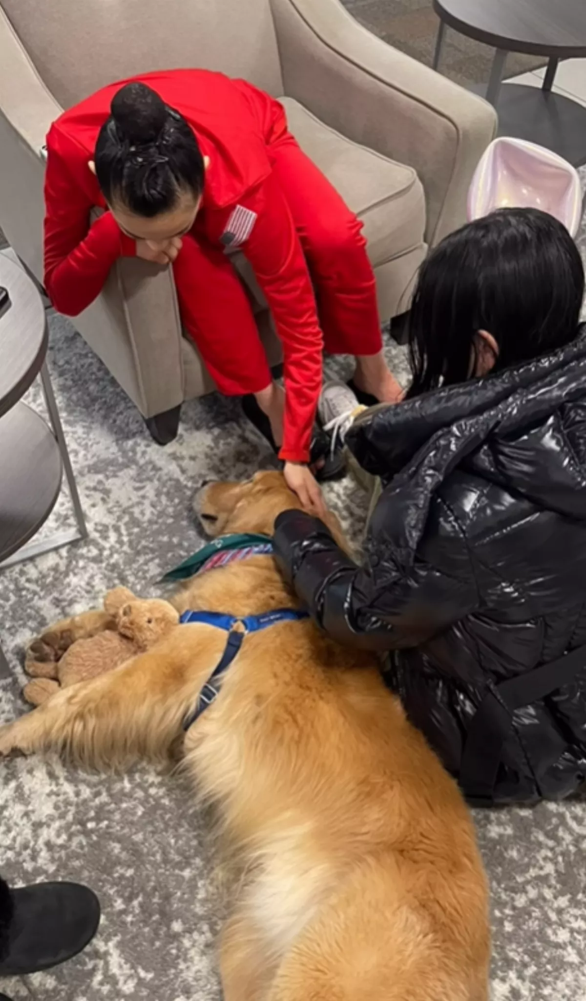 奧運／美國女子體操大放異彩 撫慰犬「燈塔」功不可沒